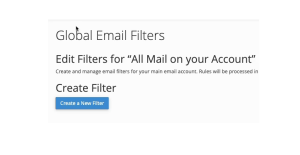 Using the Global Email Filters option