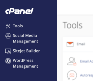 WordPress Management