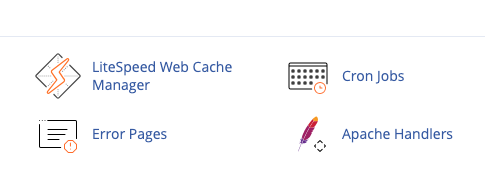 Clear LiteSpeed Cache Automatically